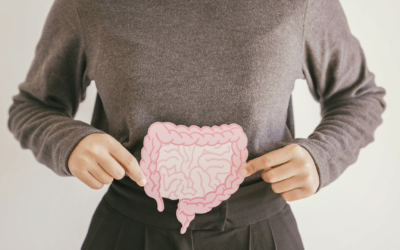 Your First Line of Immune Defense: The Gut