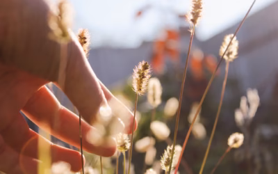 The Connection Between Histamine, Hormones, and Summer Reactivity